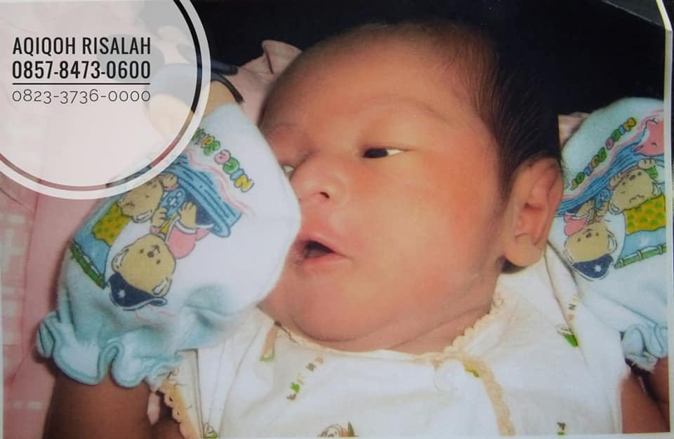 akekah nganjuk, aqiqah nganjuk, kantor akikah nganjuk, tempat pesan aqiqah nganjuk, harga paket aqiqoh nganjuk
